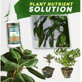 (2023 Hot Sale 49% OFF) Plant Nutrient Solution - BUY 3 GET 2 FREE
